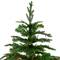 7.5ft. Pre-Lit Roosevelt Fir Artificial Christmas Tree, Warm White LED Lights